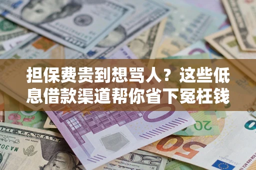 济南担保费贵到想骂人？这些低息借款渠道帮你省下冤枉钱