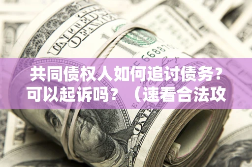 济南共同债权人如何追讨债务？可以起诉吗？（速看合法攻略）