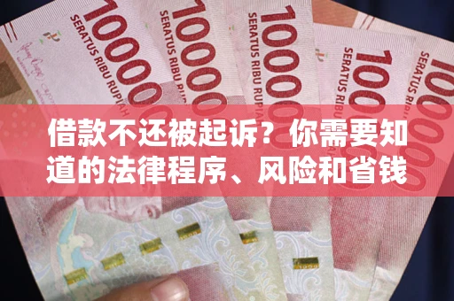 济南借款不还被起诉？你需要知道的法律程序、风险和省钱技巧